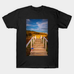 Lost Shoes on the Stairs to the Sky T-Shirt